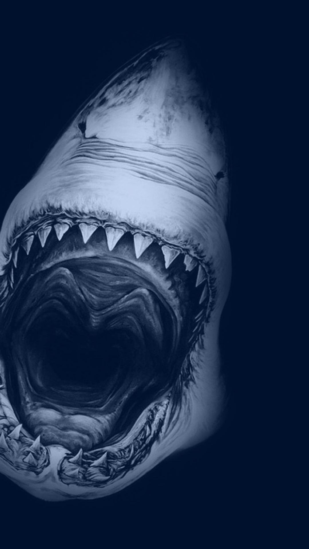 Das Huge Toothy Shark Wallpaper 1080x1920