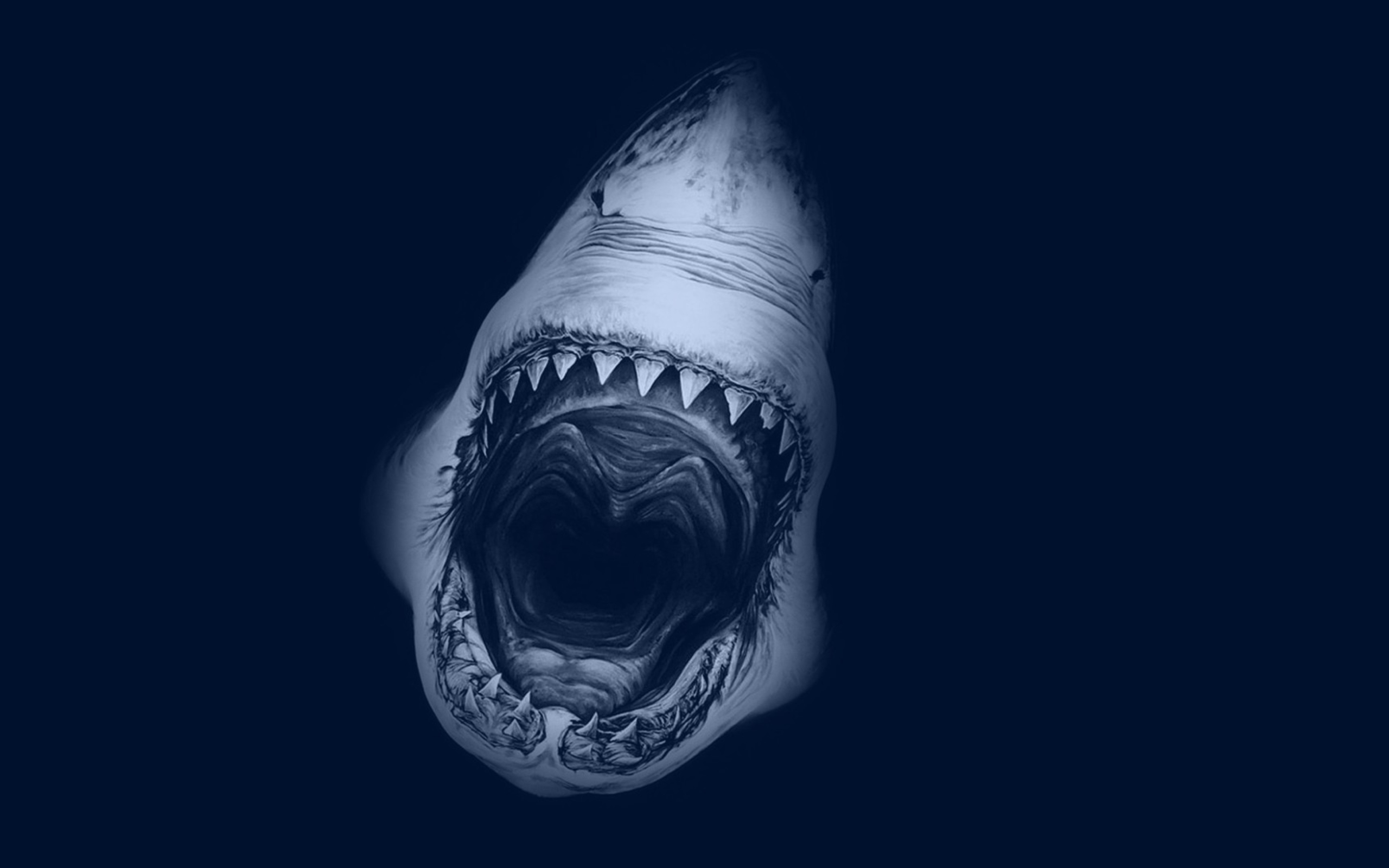 Huge Toothy Shark wallpaper 2560x1600