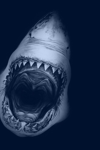 Das Huge Toothy Shark Wallpaper 320x480