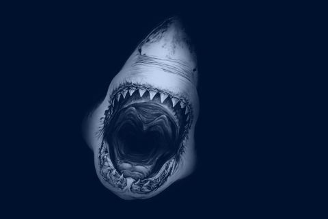 Huge Toothy Shark wallpaper 480x320