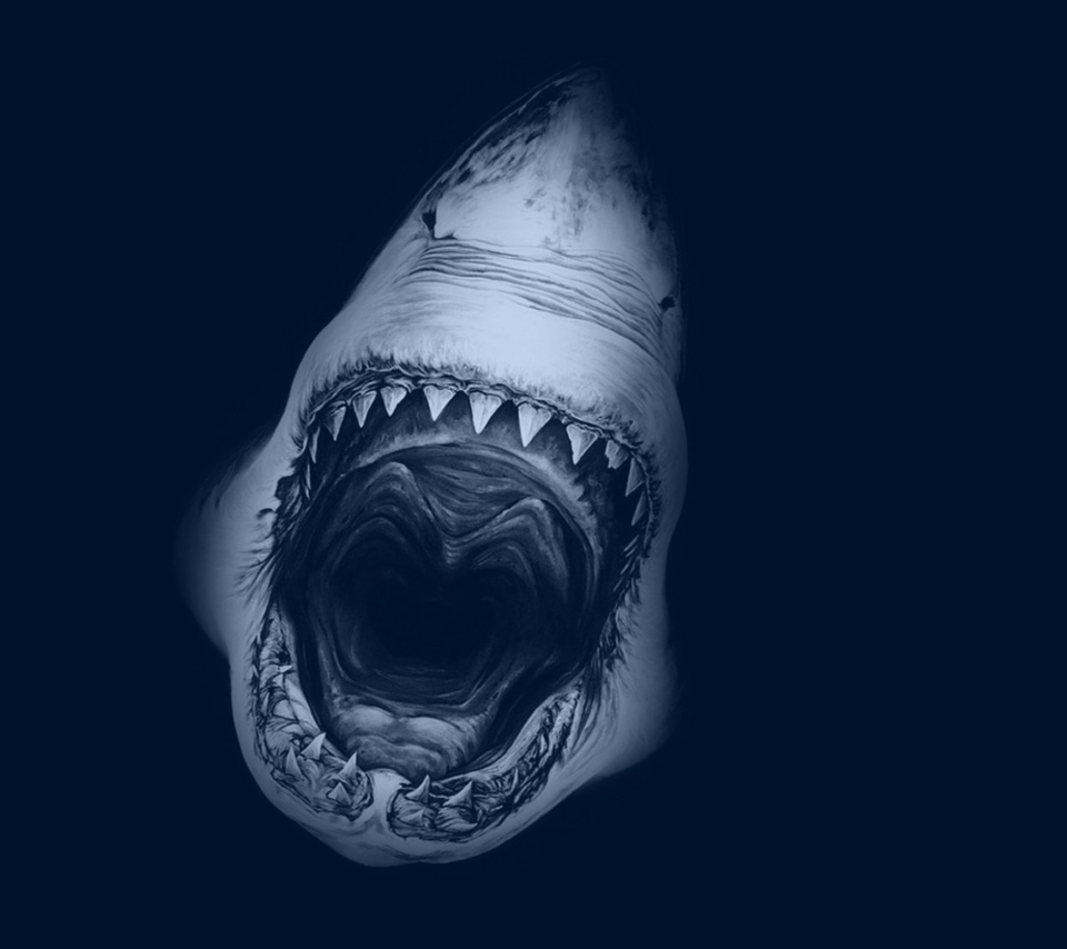 Das Huge Toothy Shark Wallpaper 960x854