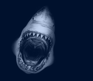 Huge Toothy Shark Background for iPad