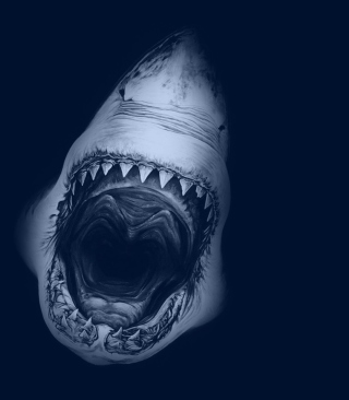 Huge Toothy Shark - Obrázkek zdarma pro 128x160