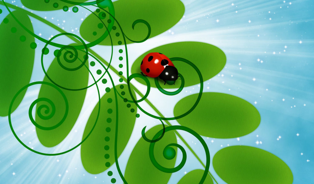 3D Ladybug wallpaper 1024x600