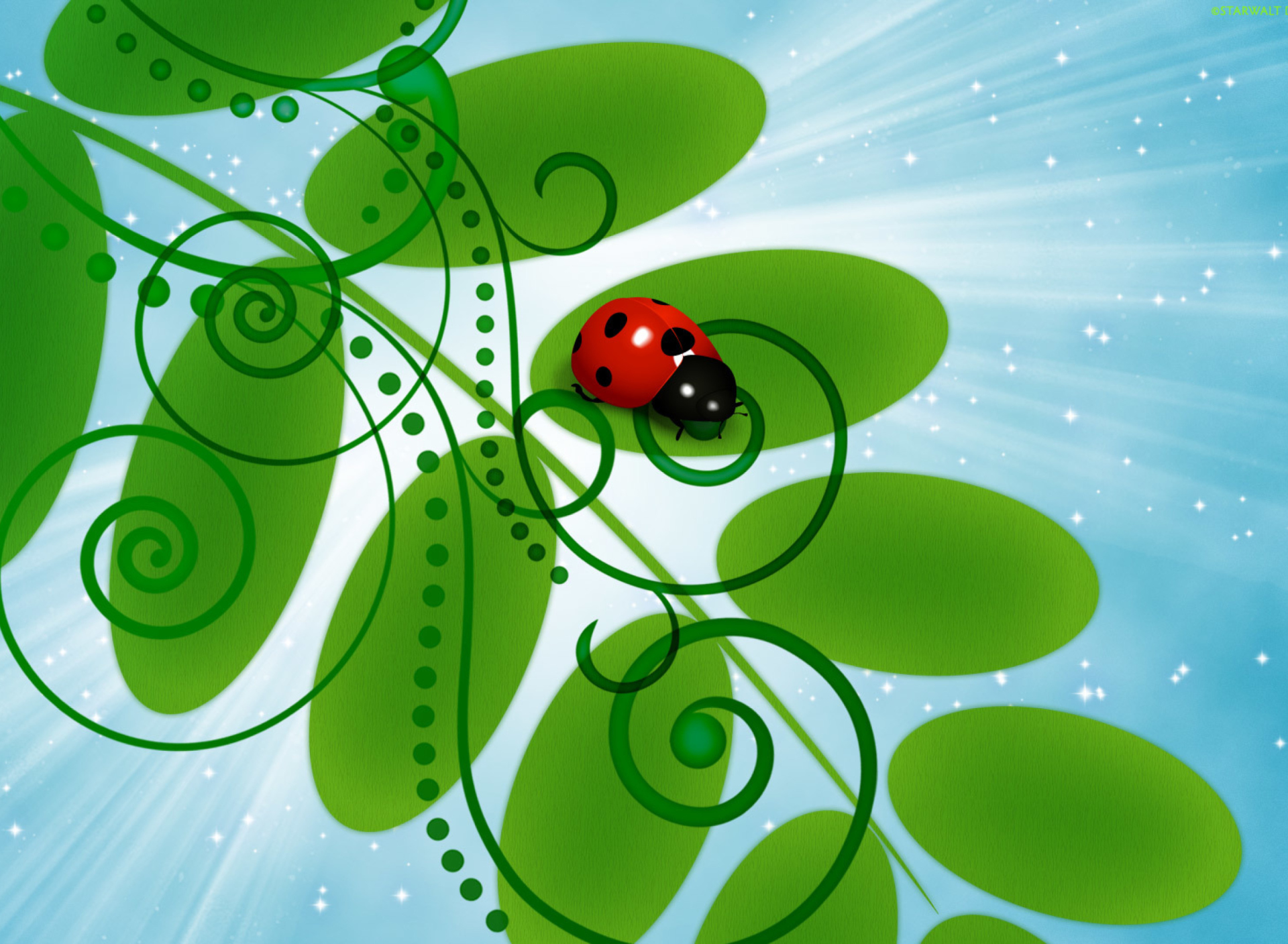Das 3D Ladybug Wallpaper 1920x1408