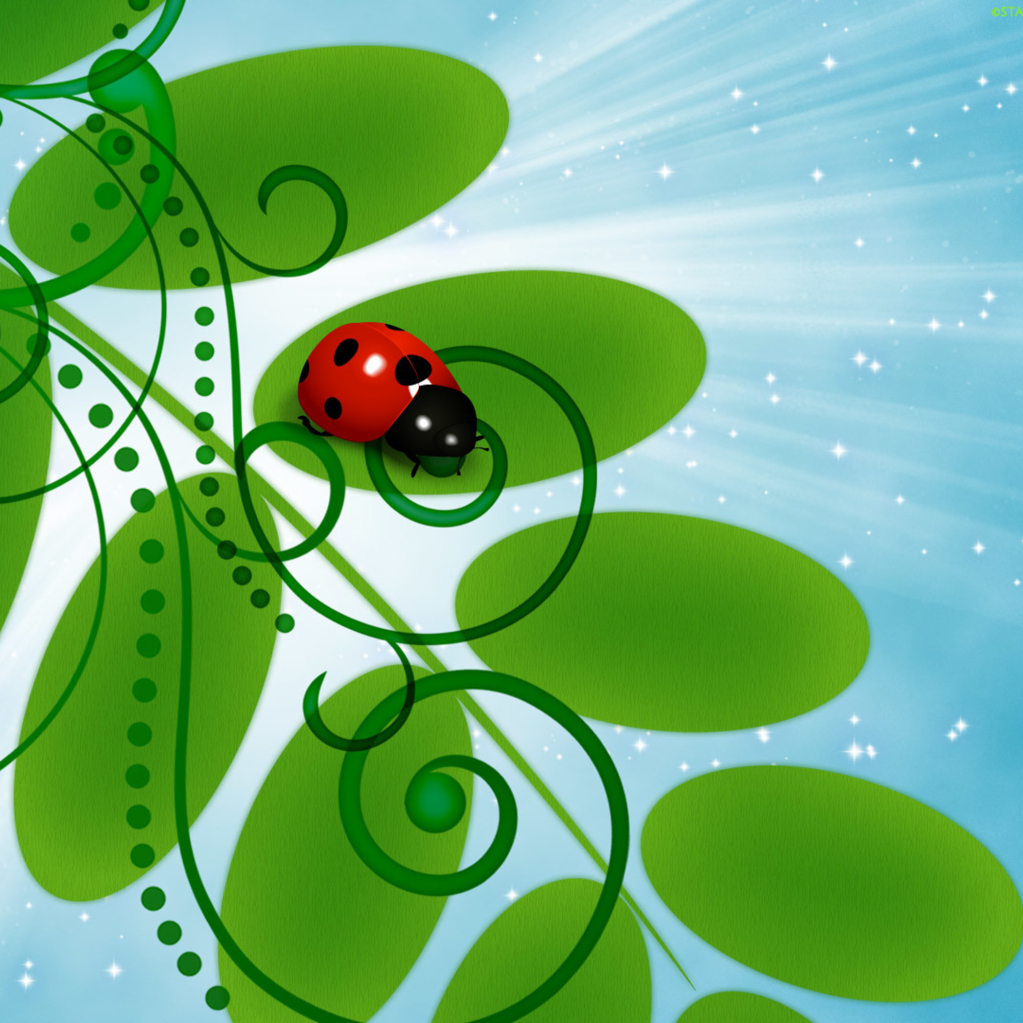 Fondo de pantalla 3D Ladybug 2048x2048