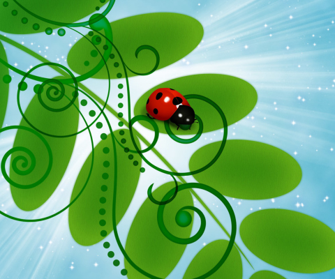Das 3D Ladybug Wallpaper 480x400