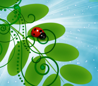 3D Ladybug papel de parede para celular para 128x128
