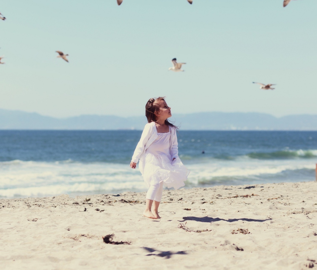 Little Girl At Beach And Seagulls screenshot #1 1200x1024