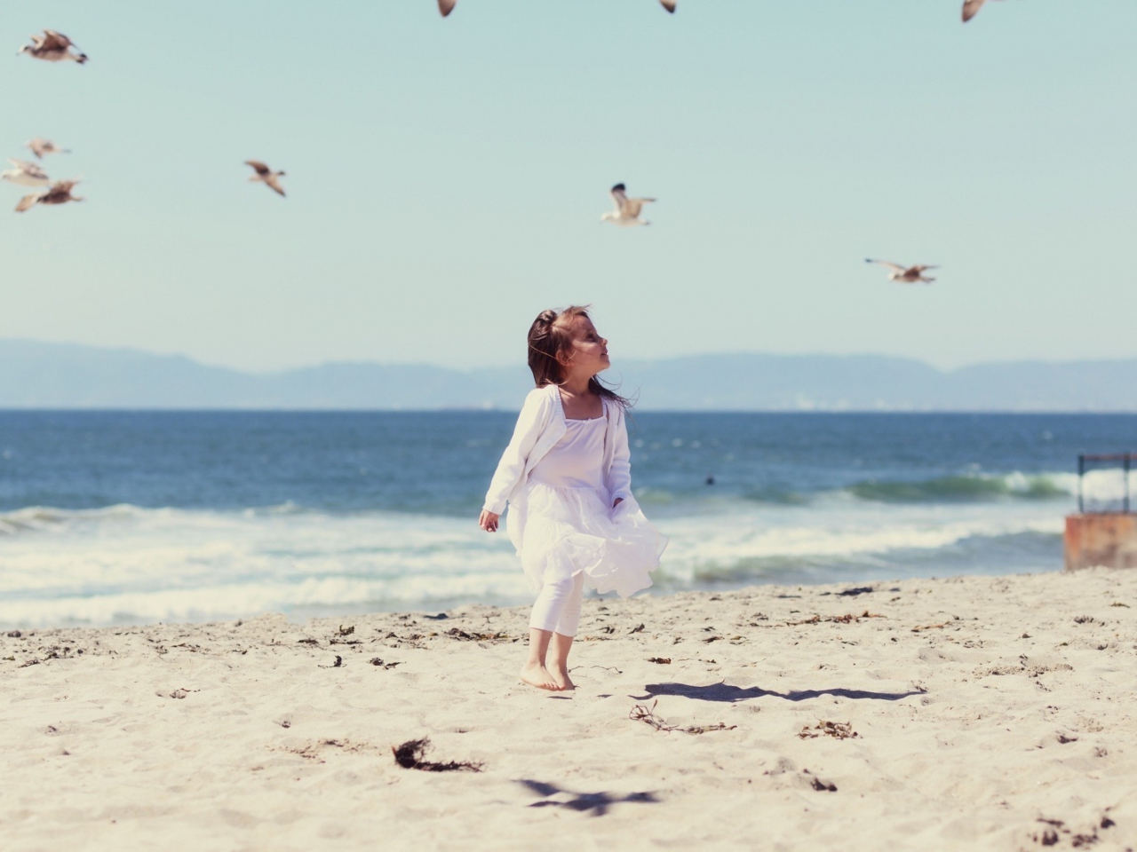 Little Girl At Beach And Seagulls wallpaper 1280x960