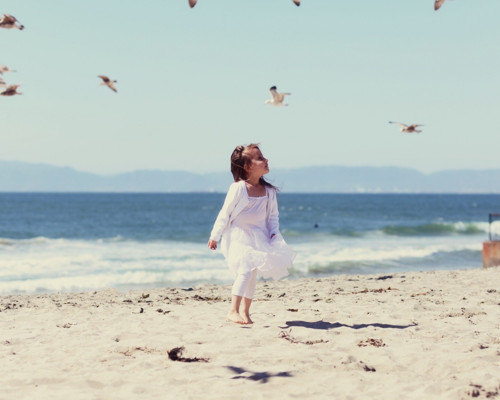Little Girl At Beach And Seagulls screenshot #1 1600x1280