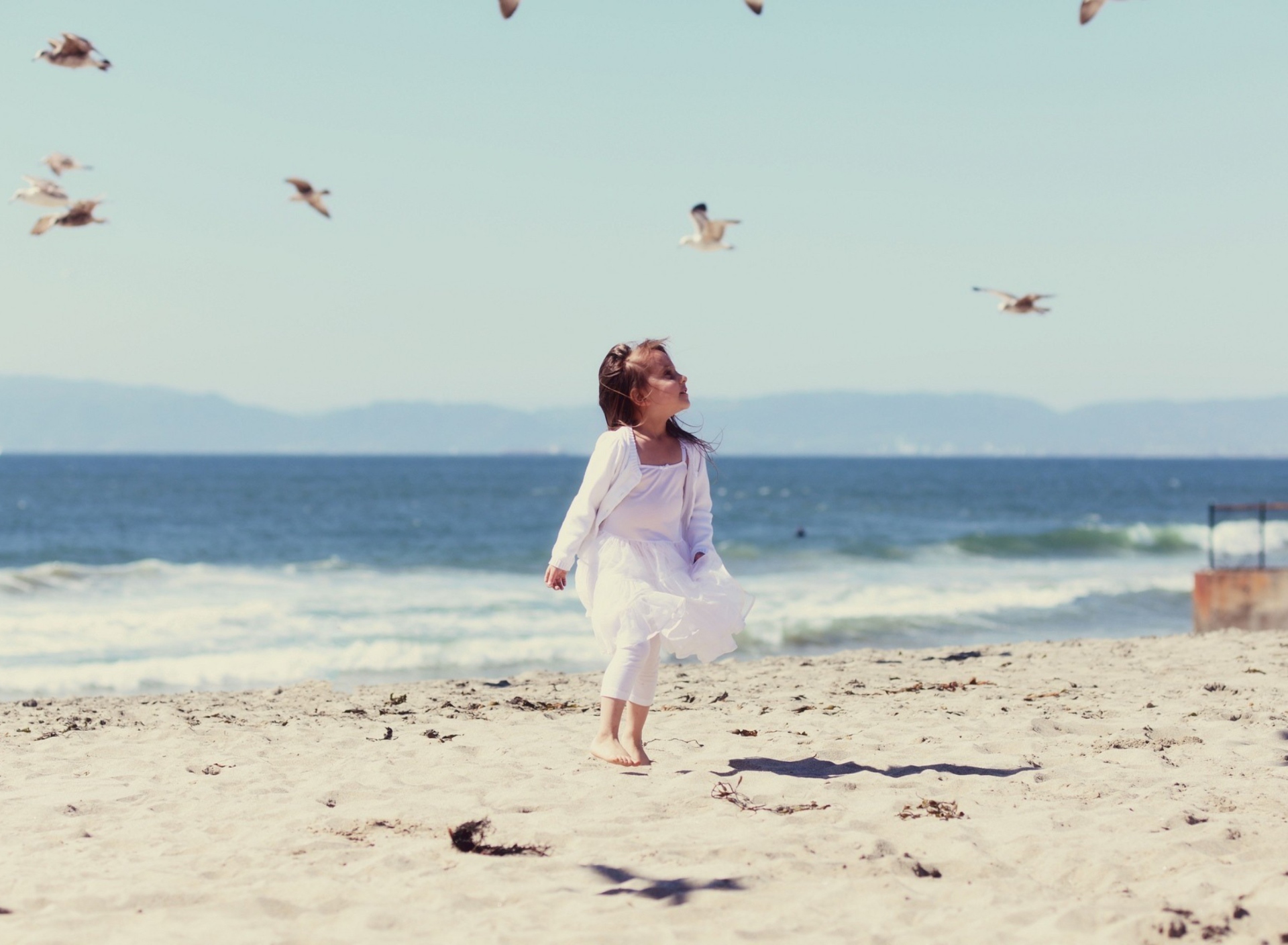 Screenshot №1 pro téma Little Girl At Beach And Seagulls 1920x1408
