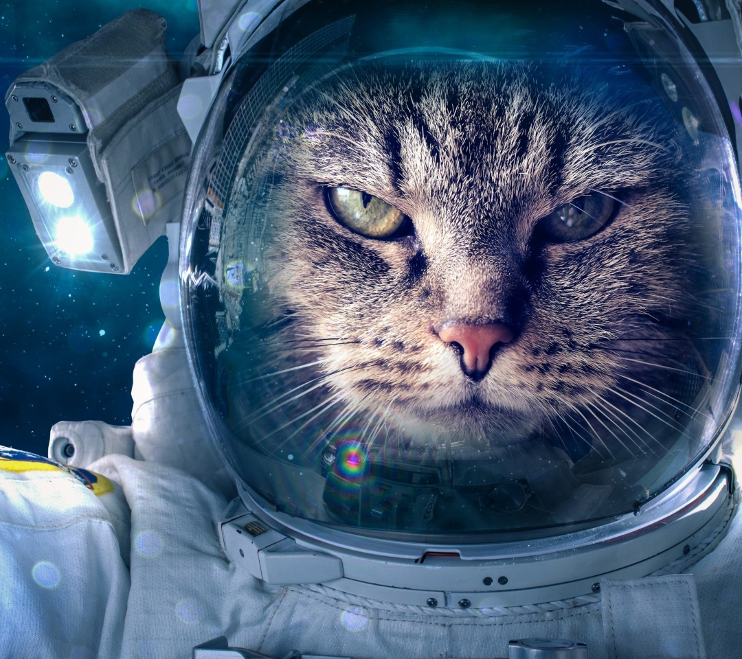 Astronaut cat wallpaper 1080x960