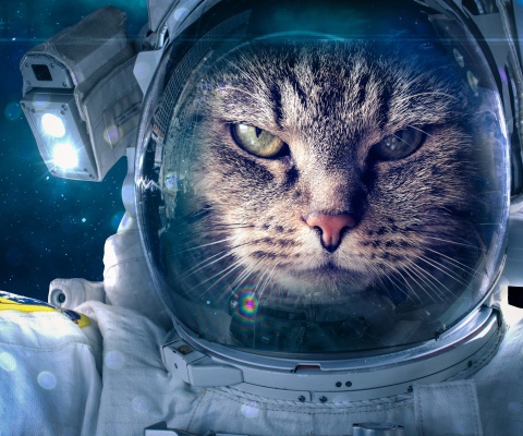 Astronaut cat screenshot #1 480x400