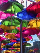 Обои Umbrellas Street 132x176