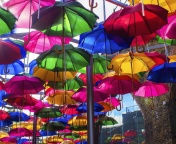Обои Umbrellas Street 176x144