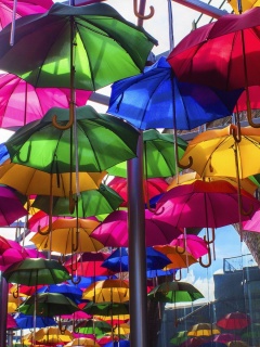 Umbrellas Street screenshot #1 240x320