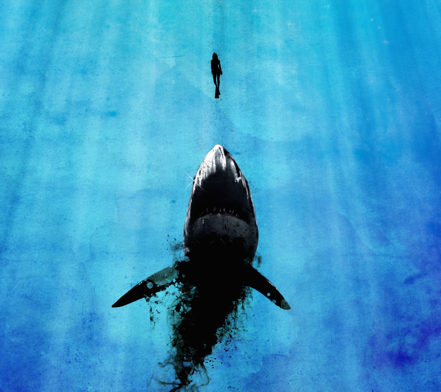 Das Shark And Swimmer Wallpaper 1440x1280