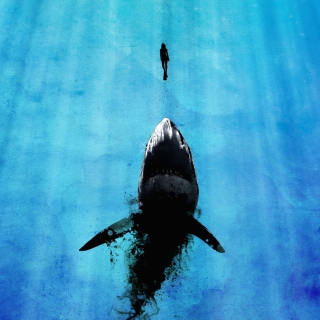 Kostenloses Shark And Swimmer Wallpaper für 1024x1024