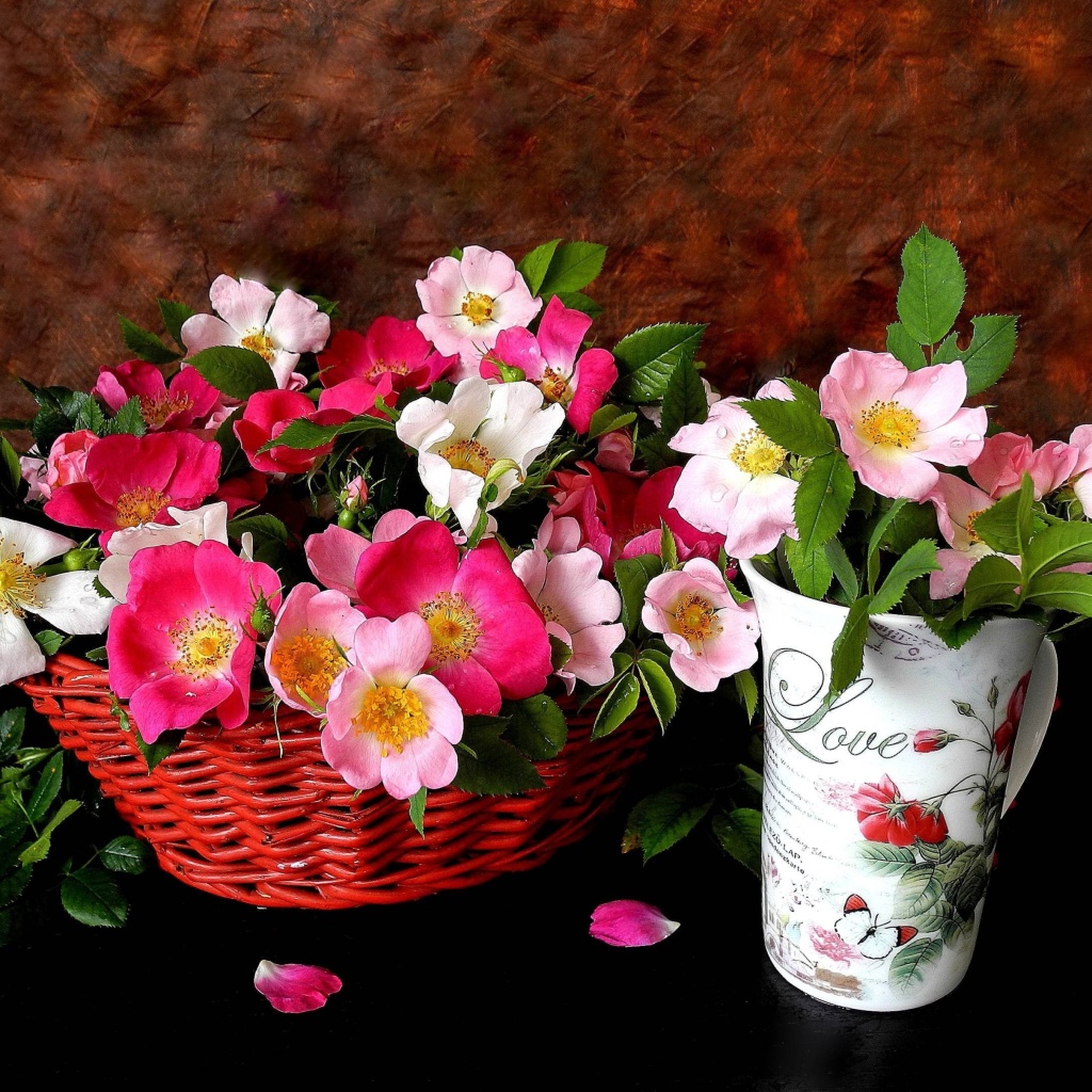 Fondo de pantalla Sweetheart flowers 1024x1024