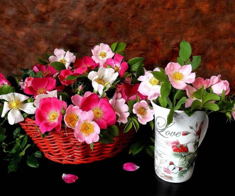 Sfondi Sweetheart flowers 480x400