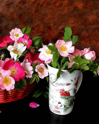 Sweetheart flowers papel de parede para celular para Nokia Asha 503