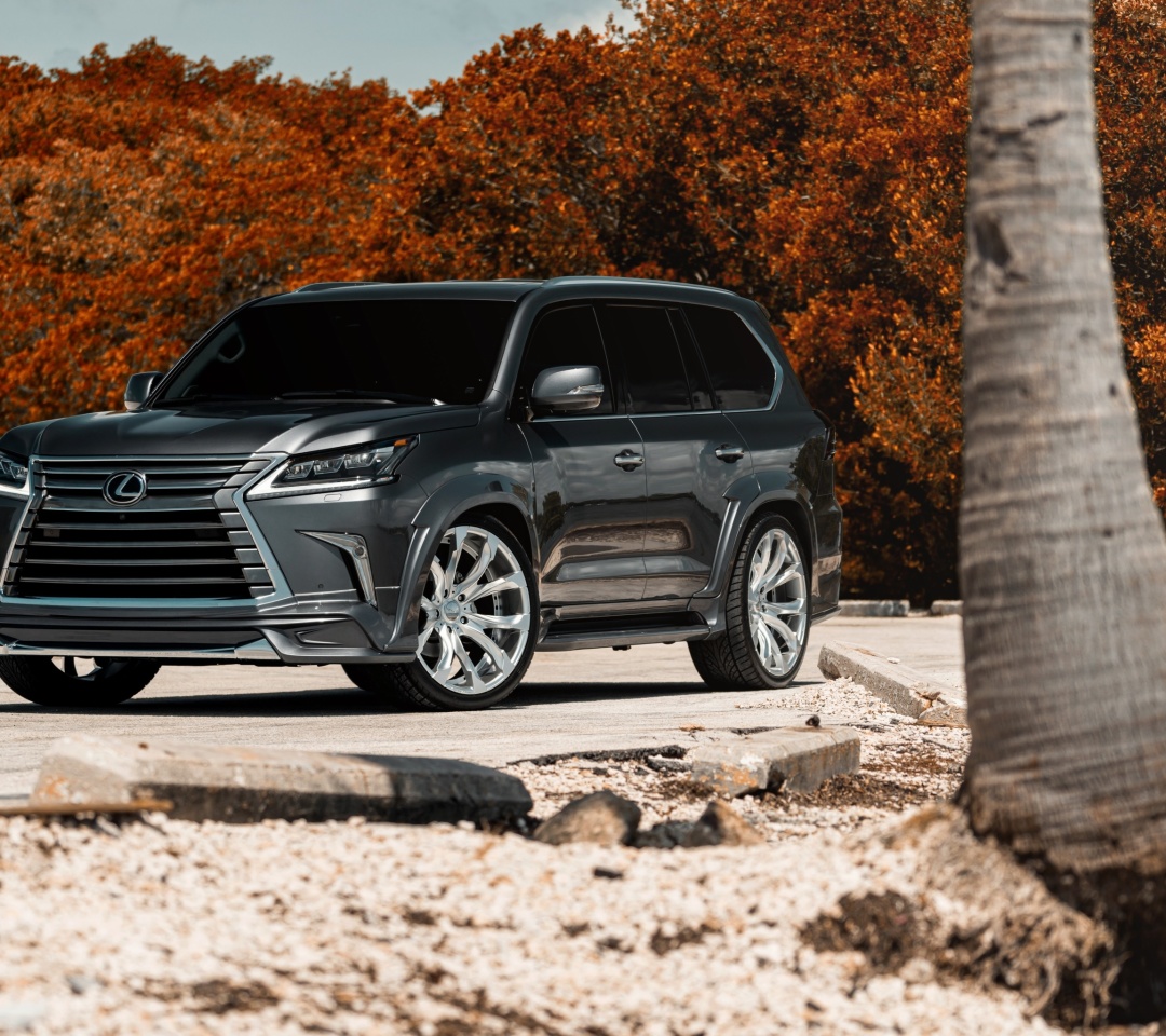 Lexus LX570 screenshot #1 1080x960