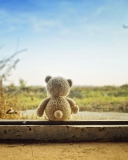 Fondo de pantalla Lonely Teddy Bear 128x160