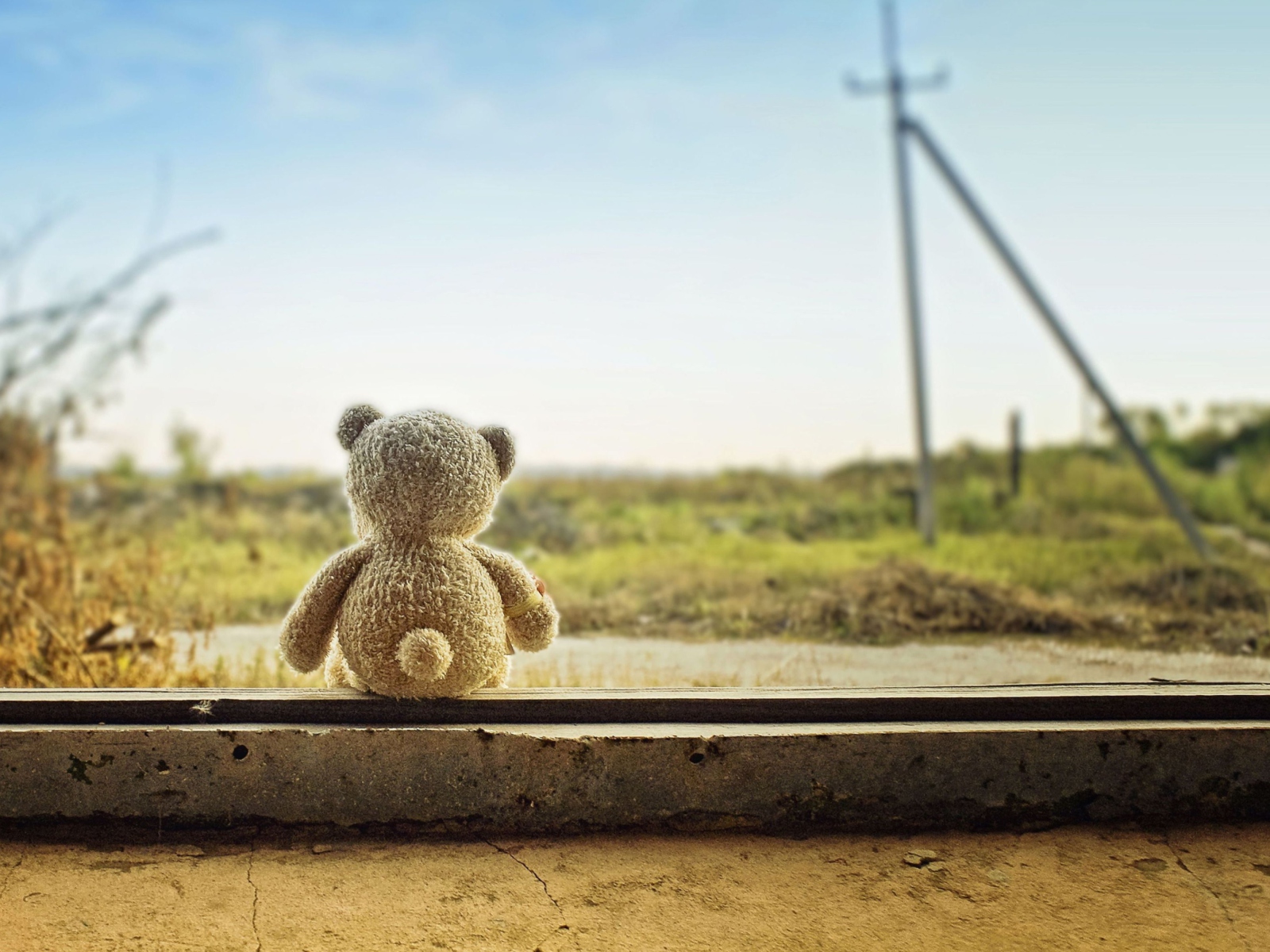Lonely Teddy Bear screenshot #1 1600x1200