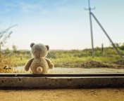 Fondo de pantalla Lonely Teddy Bear 176x144