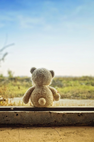 Lonely Teddy Bear screenshot #1 320x480