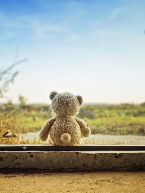 Lonely Teddy Bear screenshot #1 480x640