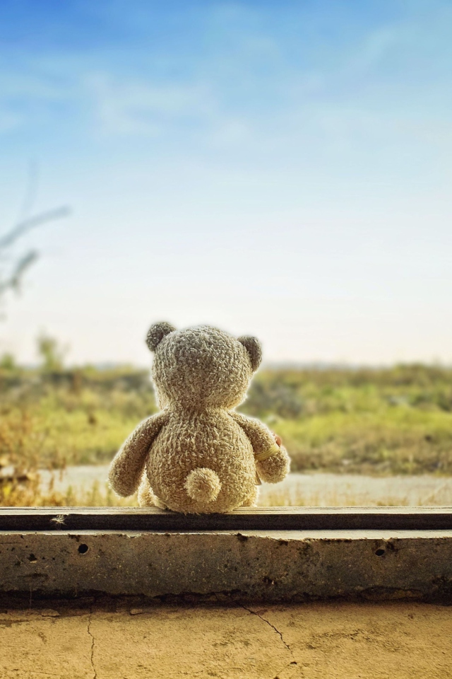 Lonely Teddy Bear wallpaper 640x960