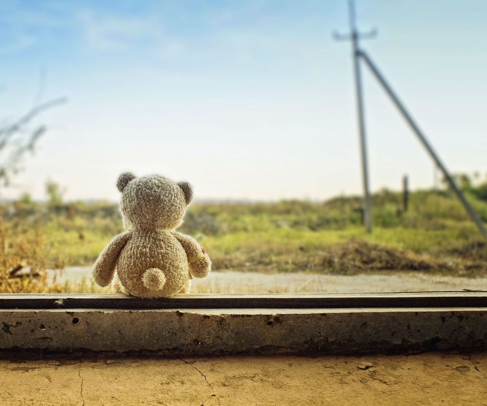 Fondo de pantalla Lonely Teddy Bear 960x800