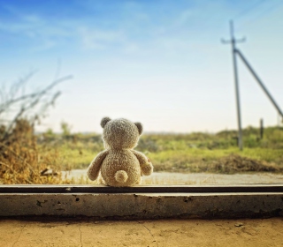 Lonely Teddy Bear - Obrázkek zdarma pro 1024x1024