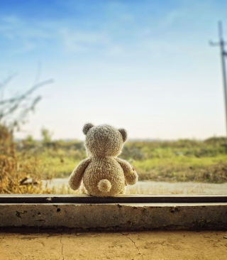 Обои Lonely Teddy Bear на 640x960