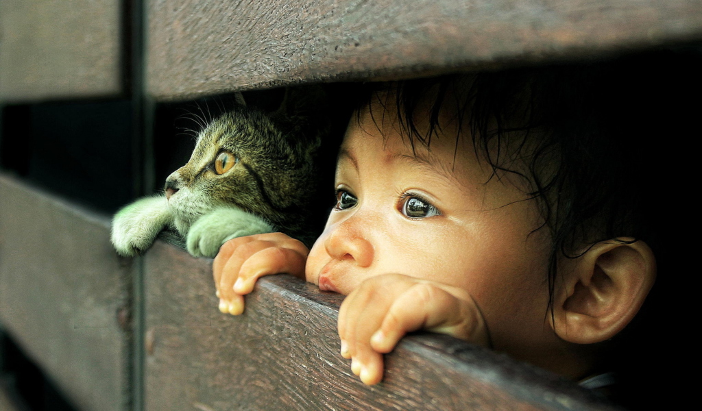 Das Baby Boy And His Friend Little Kitten Wallpaper 1024x600