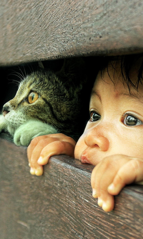 Обои Baby Boy And His Friend Little Kitten 480x800