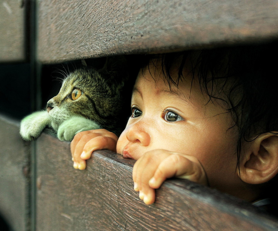 Обои Baby Boy And His Friend Little Kitten 960x800