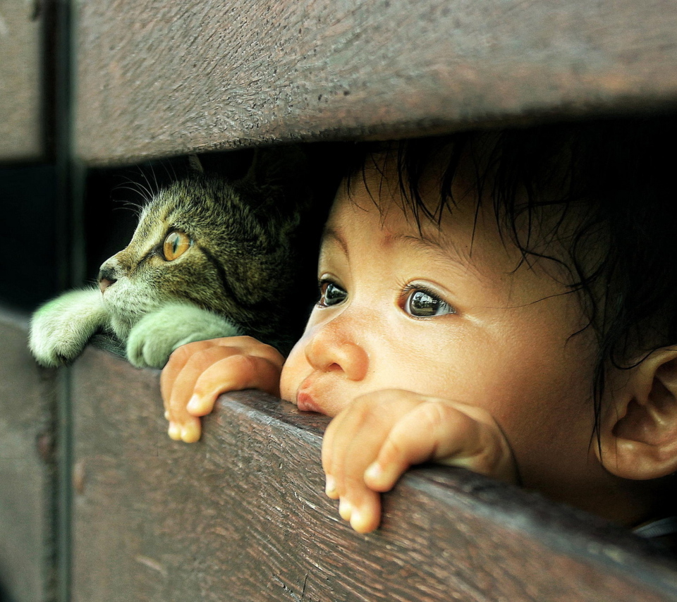 Обои Baby Boy And His Friend Little Kitten 960x854