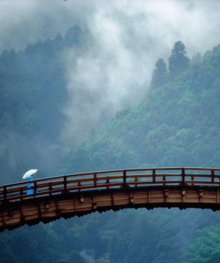 Kintai Bridge Japan - Obrázkek zdarma pro 360x640