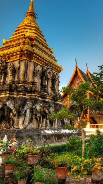 Обои Thailand Temple 360x640