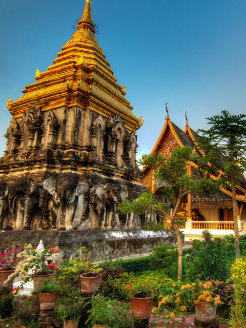 Thailand Temple wallpaper 480x640