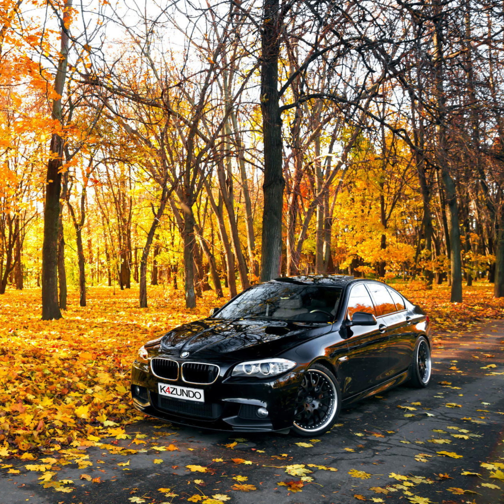 Fondo de pantalla BMW 550X Autumn View 1024x1024