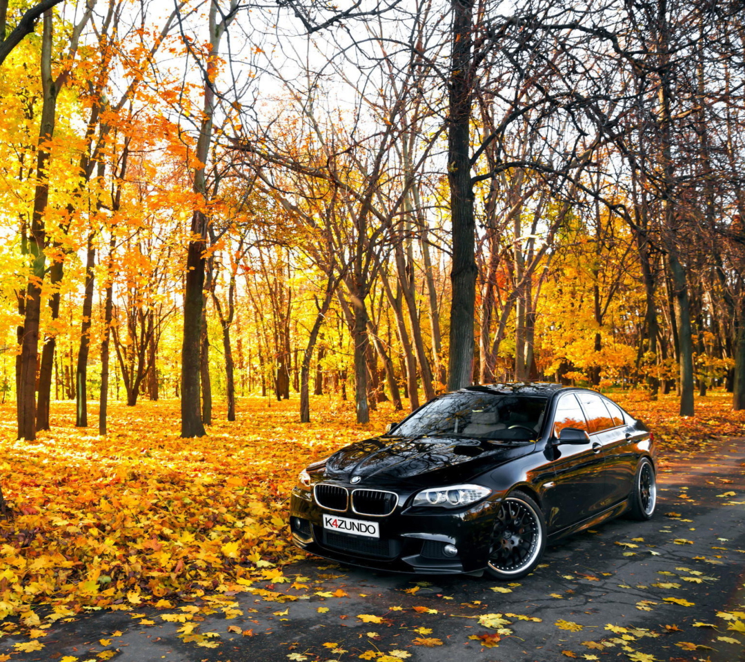 BMW 550X Autumn View wallpaper 1080x960