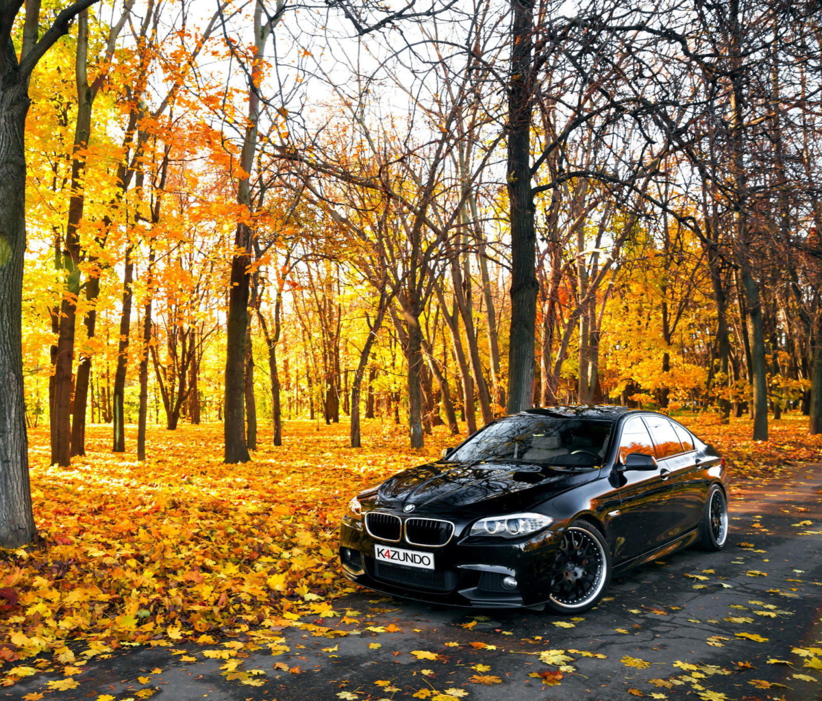BMW 550X Autumn View screenshot #1 1200x1024