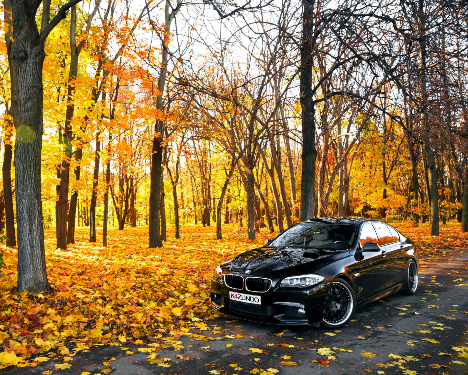 Fondo de pantalla BMW 550X Autumn View 1600x1280