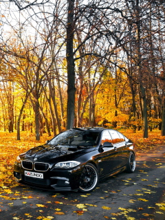 BMW 550X Autumn View wallpaper 240x320