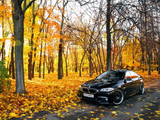 Das BMW 550X Autumn View Wallpaper 320x240