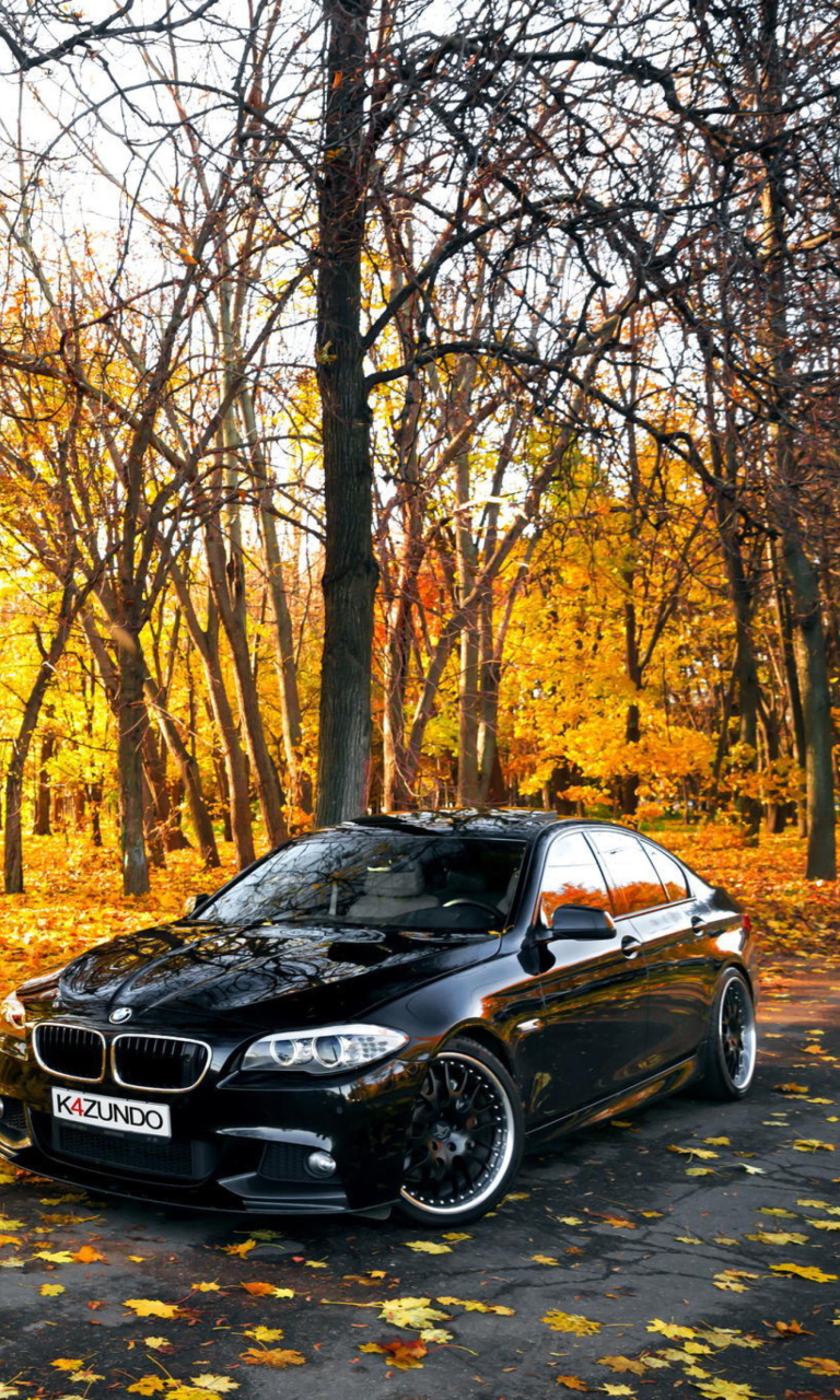 BMW 550X Autumn View wallpaper 768x1280